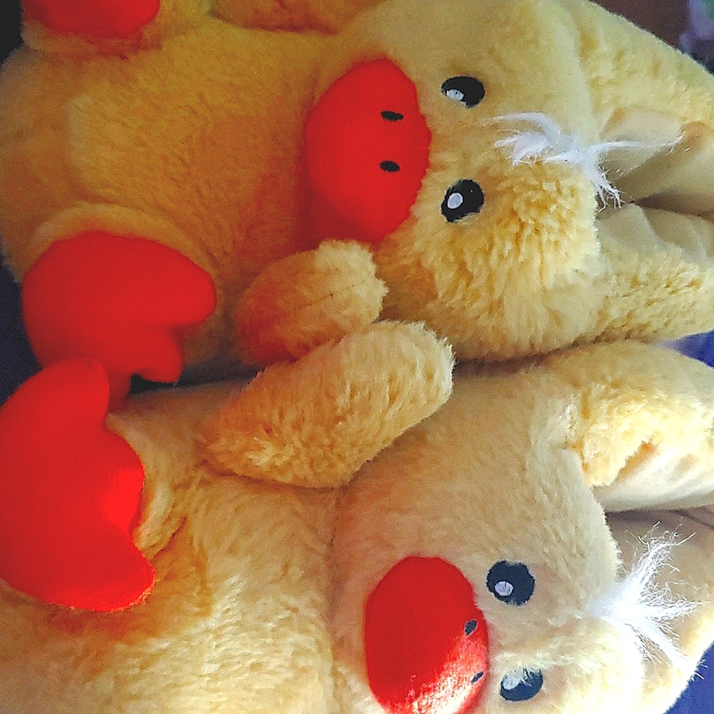 Duck slipper
